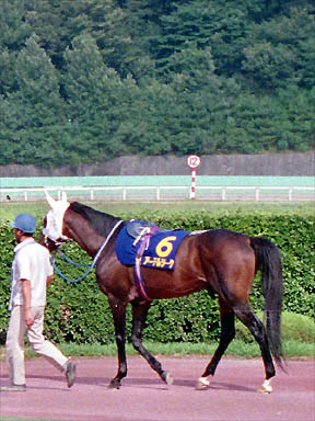 1994/07/31 盛岡09R