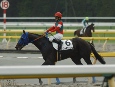 2010/05/22 東京08R