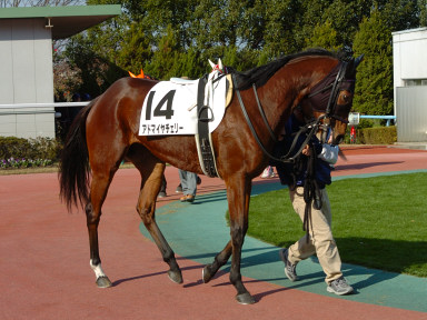 2004/12/11 ����07R