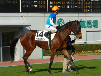 2004/12/11 ����07R