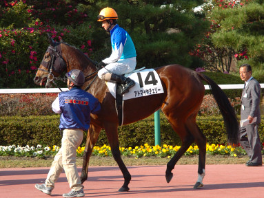 2004/12/11 ����07R