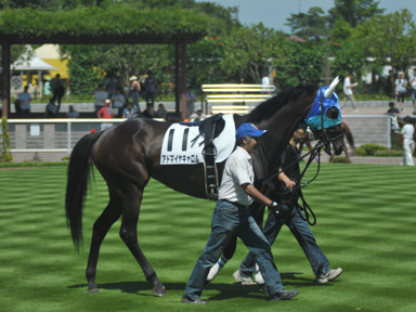 2011/07/16 新潟08R