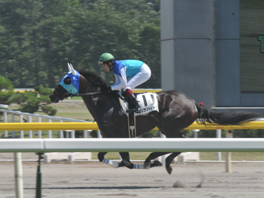 2011/07/16 新潟08R