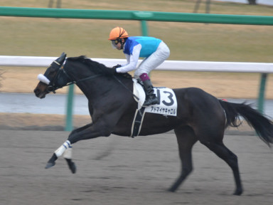 2012/01/21 中山07R