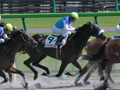 2012/05/05 東京08R