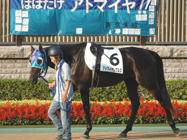2008/10/11 東京12R
