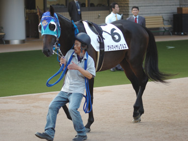 2008/10/11 東京12R