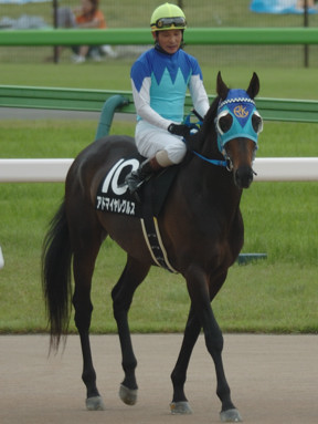 2009/05/23 東京10R