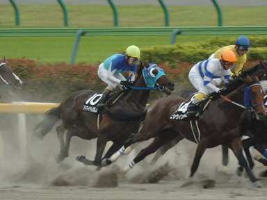 2009/05/23 東京10R