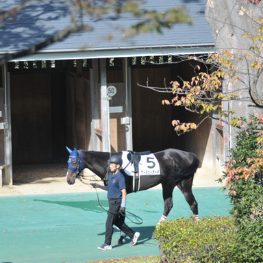 2021/11/06 東京07R