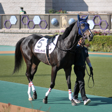 2021/11/06 東京07R