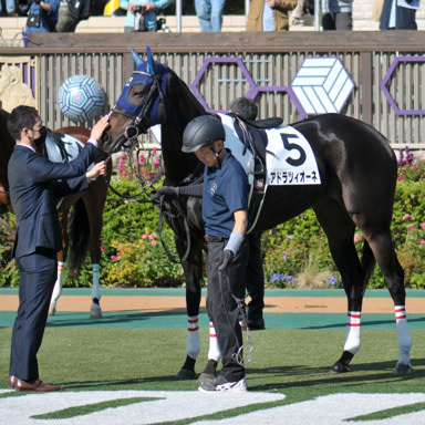 2021/11/06 東京07R