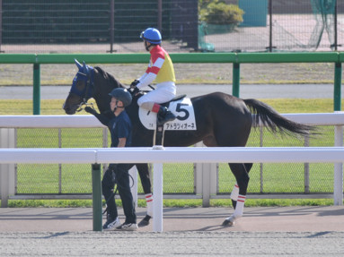 2021/11/06 東京07R