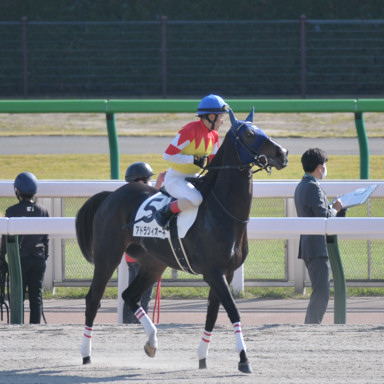 2021/11/06 東京07R
