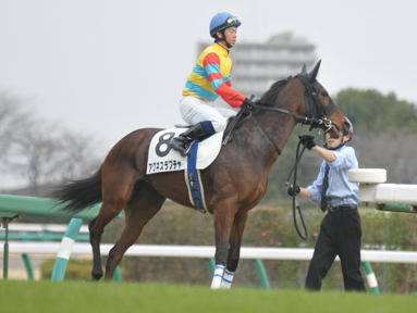 2011/03/06 中山08R