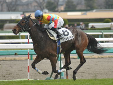 2011/03/06 中山08R