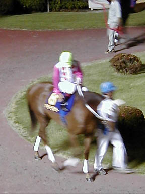 1999/06/15 ���10R