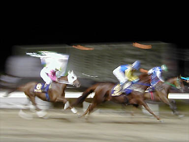 1999/06/15 ���10R