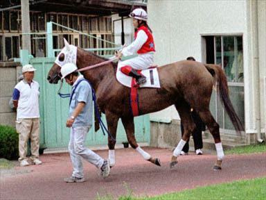 2000/07/20 �Y�a10R