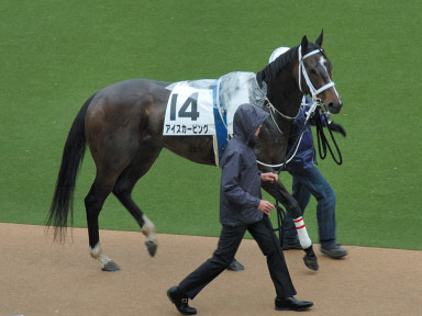 2008/05/10 ����08R