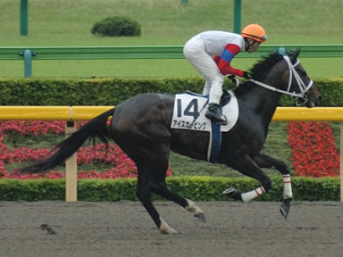 2008/05/10 ����08R