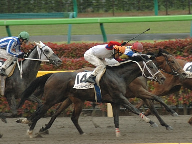 2008/05/10 ����08R