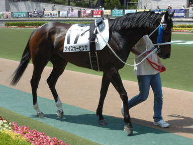 2009/05/02 ����07R