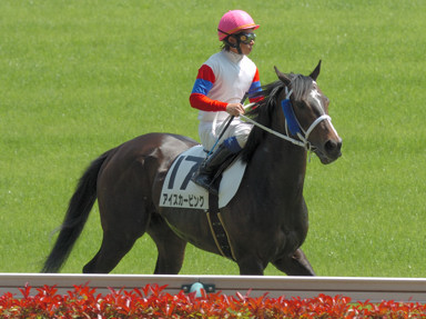 2009/05/02 ����07R