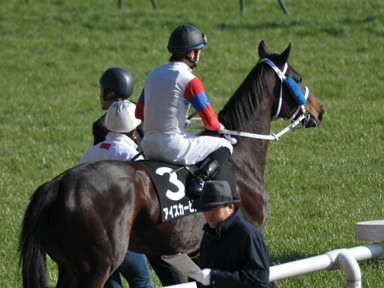 2012/01/29 ����09R