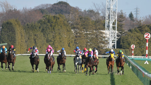 2012/01/29 ����09R