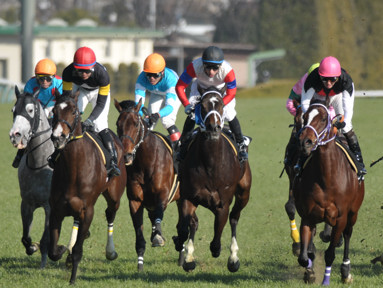 2012/01/29 ����09R