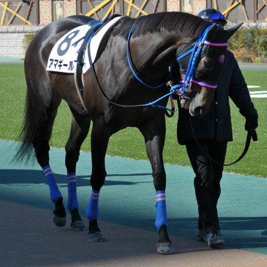 2024/02/03 東京07R