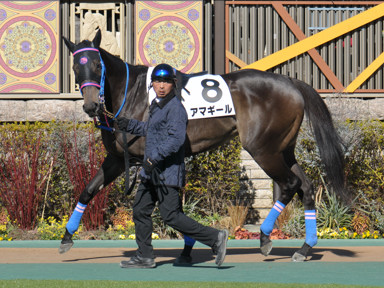 2024/02/03 東京07R