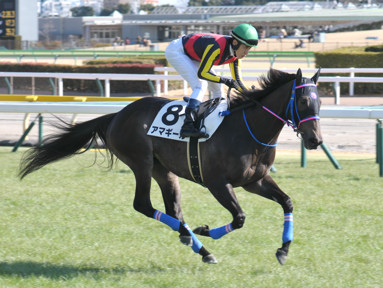 2024/02/03 東京07R
