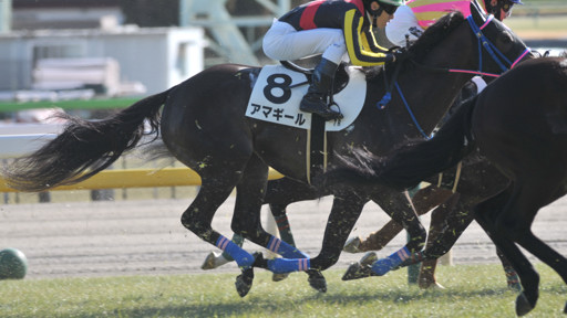 2024/02/03 東京07R