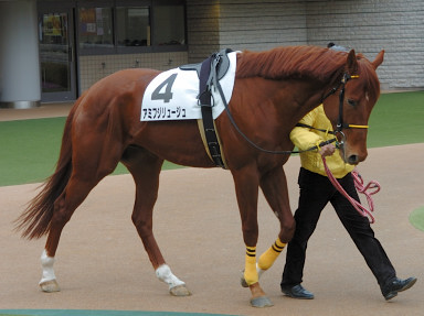 2008/02/17 東京08R