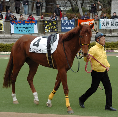 2008/02/17 東京08R