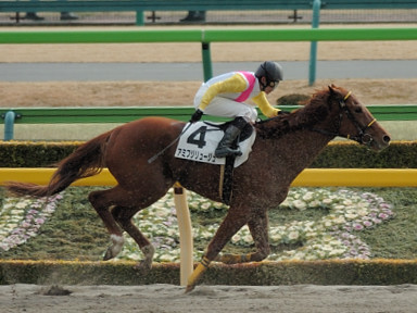 2008/02/17 東京08R