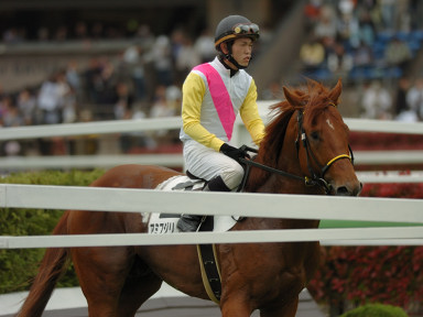 2008/05/04 東京04R