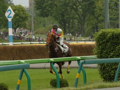 2008/05/04 東京04R