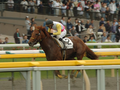 2008/05/04 東京04R