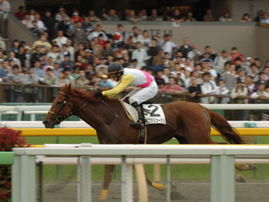 2008/05/04 東京04R