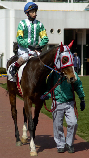 2004/03/13 R10R