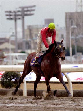 2001/01/26 川崎10R