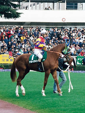 1999/02/21 東京11R