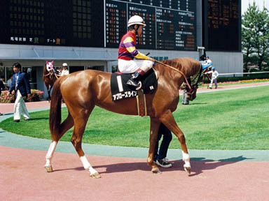 1999/05/30 中京09R
