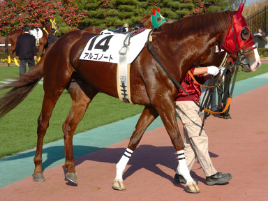 2004/12/11 09R