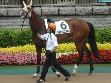 2009/05/24 東京07R