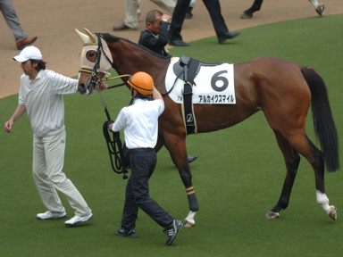 2009/05/24 東京07R
