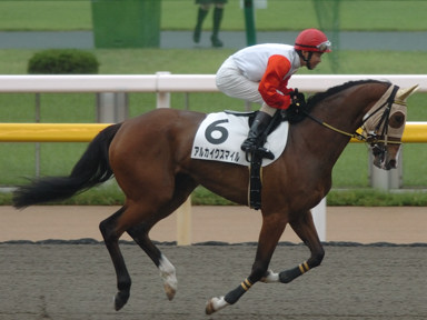 2009/05/24 東京07R